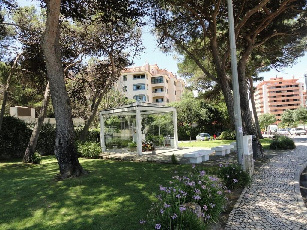 Luxury Near Town & Marina Apartment