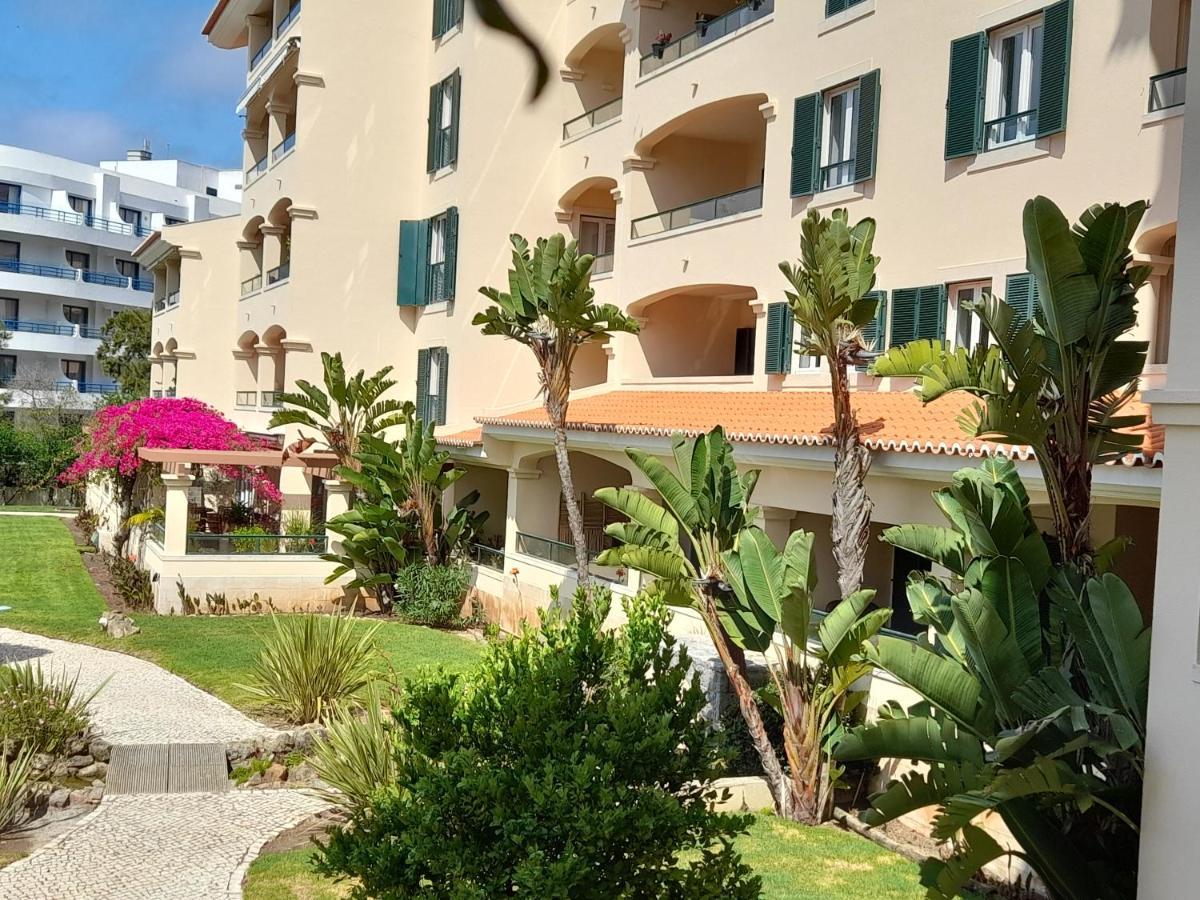 Luxury Near Town & Marina Apartment *