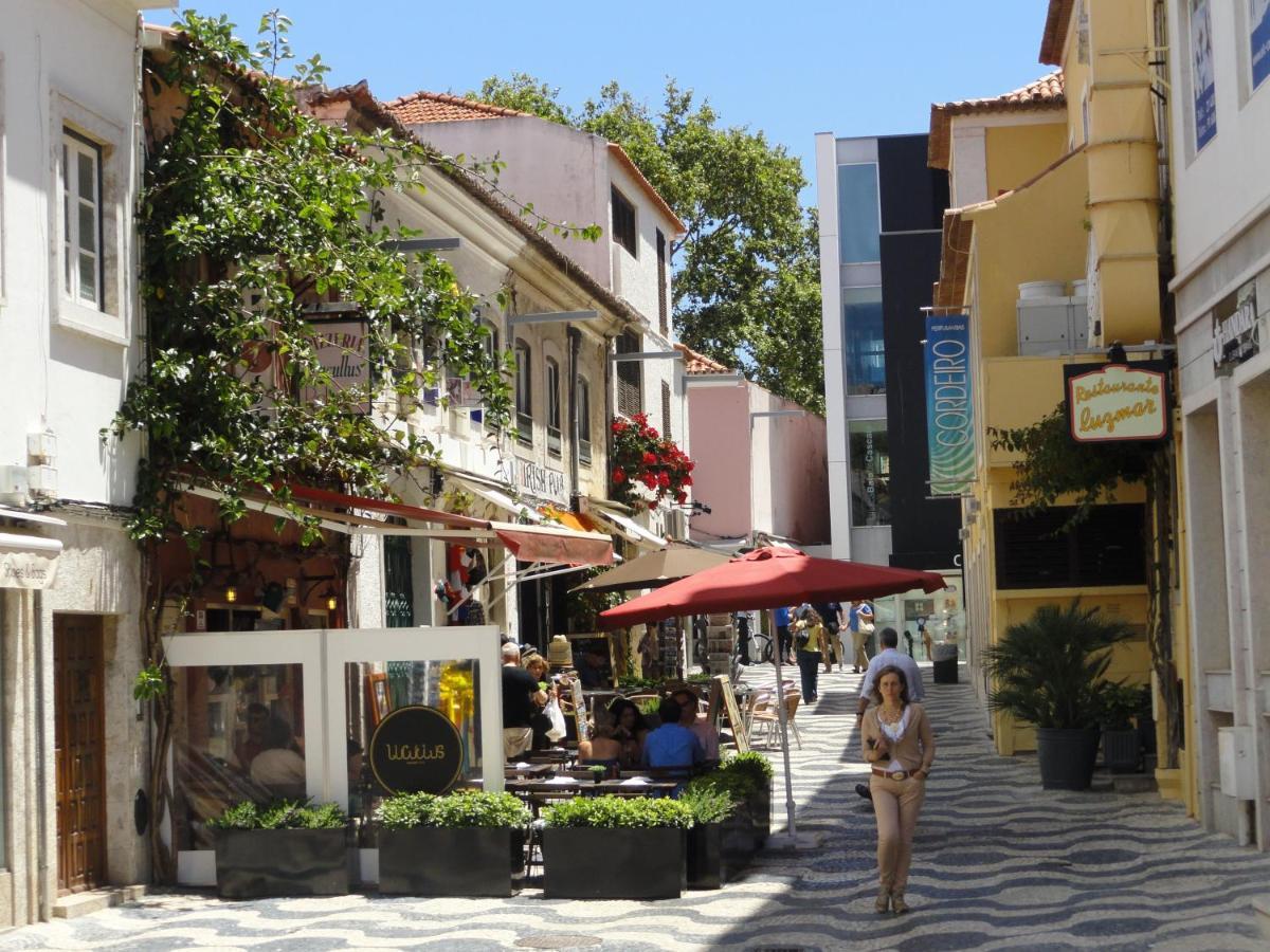 Luxury Near Town & Marina Apartment